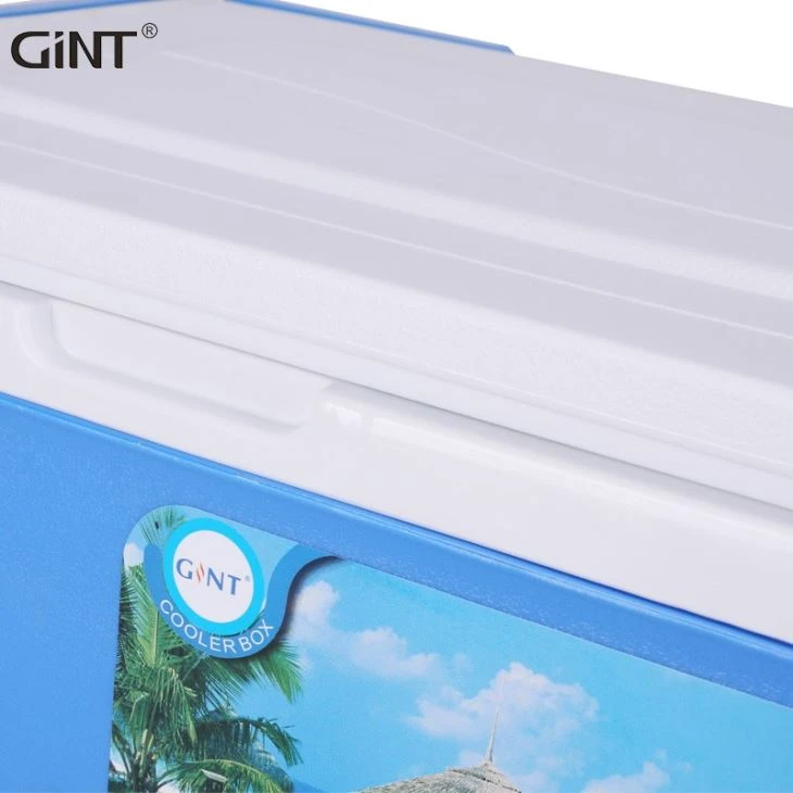 Insulated Easy Carry Plastic Cooler Box For Fishing