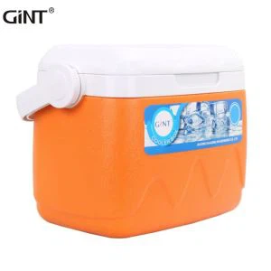 Piknik Cooler Box